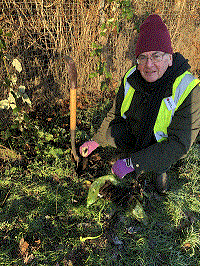 Sapling happily planted